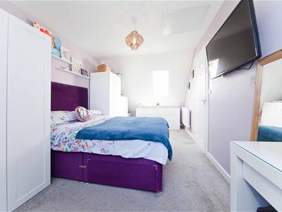 Picture 15